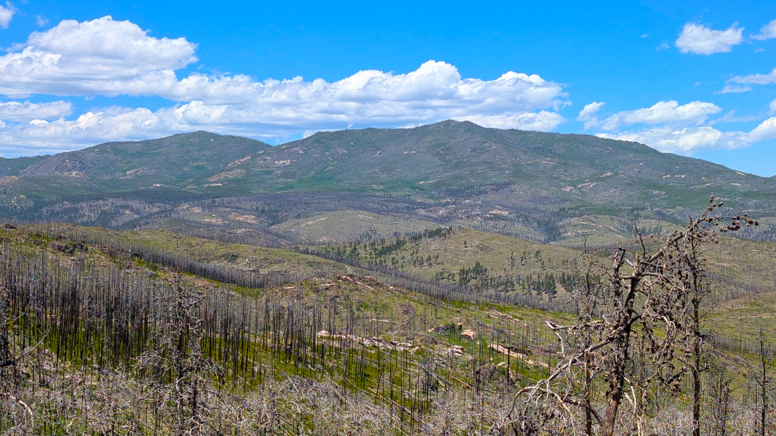 2026-06-13, Moody Hill & Sevenmile Creek